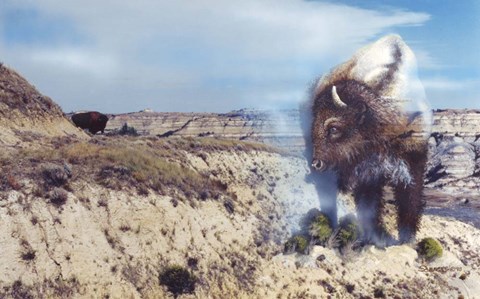 Framed Dakota Domain Print