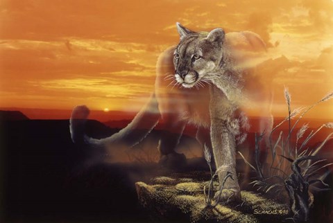 Framed Ghost Of The Badlands Print