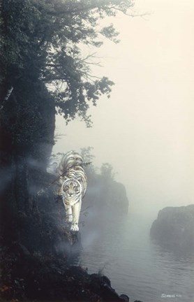 Framed Tiger On A Ledge Print