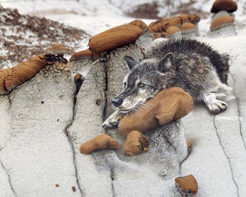 Framed Summer Heat Print