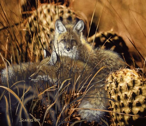 Framed Needles And Pins Print