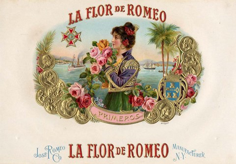 Framed La Flor De Romeo Print