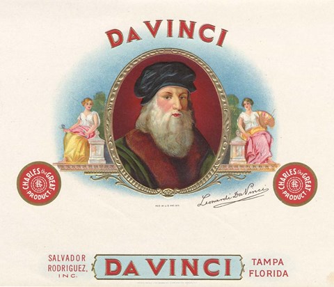 Framed Da Vinci Print