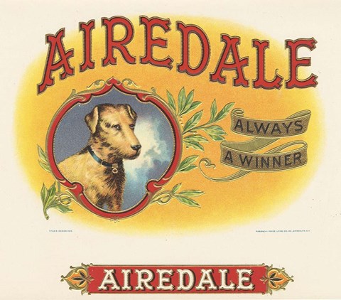 Framed Airedale Print