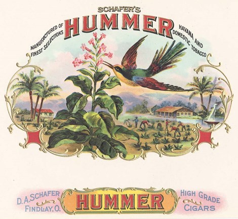 Framed Hummer Print