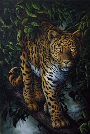 Framed Watchful Eyes Print