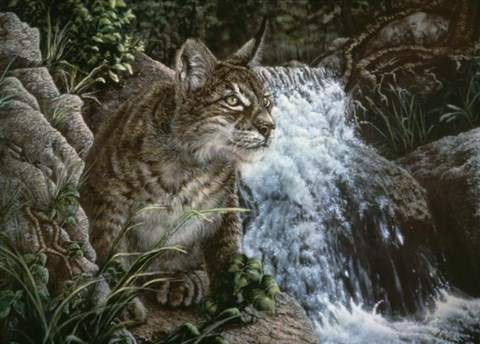 Framed Danger In Paradise Print