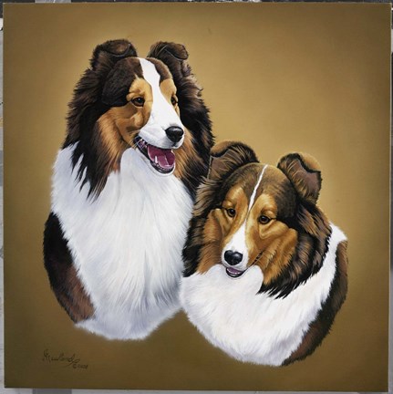 Framed Collies 2 Print