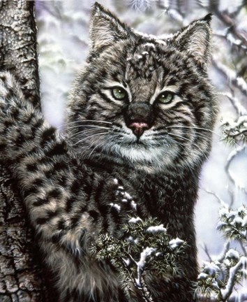 Framed Alluring Eyes Print