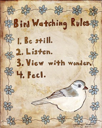 Framed Bird Watching Rules Print