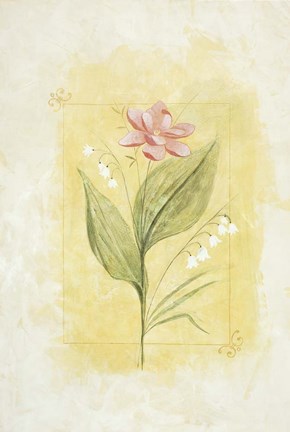 Framed Pink Bloom 2 Print