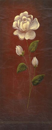 Framed Blush 2 Print