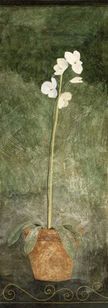 Framed White Potted Flower Print