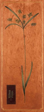 Framed Slender 2 Print