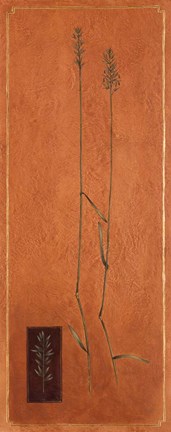 Framed Slender 3 Print