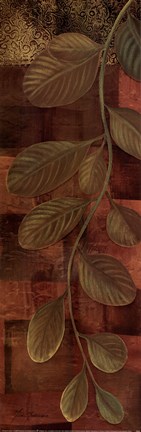 Framed Nature's Opulence II Print