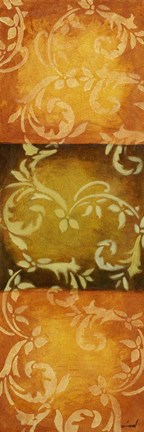 Framed Paisley Panel V Print