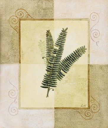 Framed Ferns I Print