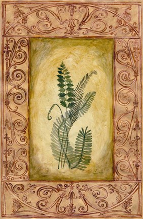 Framed Decorative Ferns I Print