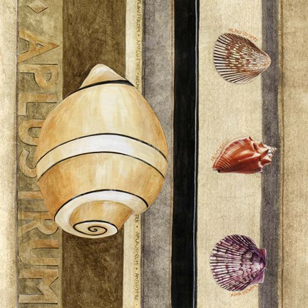 Framed Shell Collage I Print