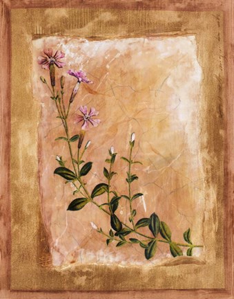 Framed Botanical I Print