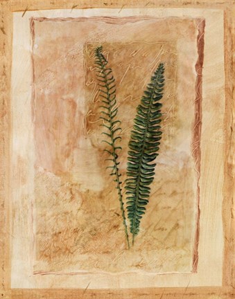 Framed Botanical II Print