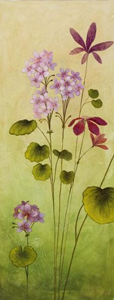 Framed Wild Flowers I Print