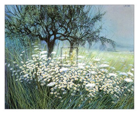 Framed Field of Daisies Print