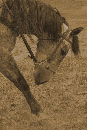 Framed Movement Print