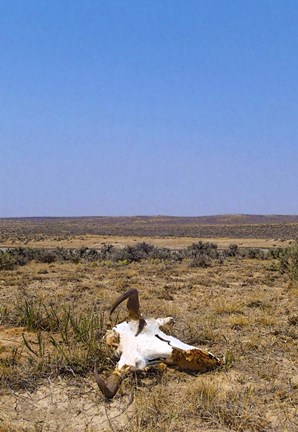 Framed Way Out West Print