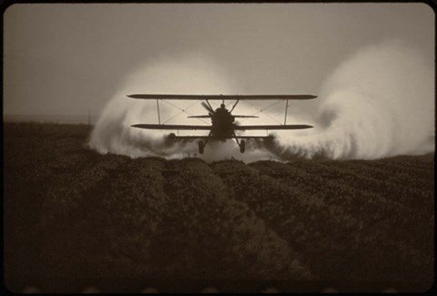 Framed Crop Duster I Print
