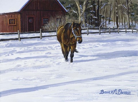 Framed Afternoon Stroll Print