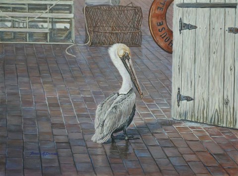 Framed Petes&#39; Pelican Print