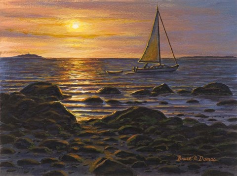 Framed Sail Boat At Napa Tree Pt. Print