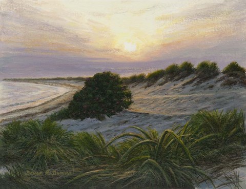 Framed Radiance Print