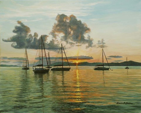 Framed Virgin I Slands Print