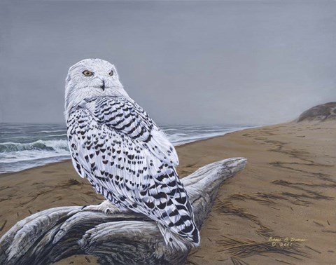 Framed After The Storm Print