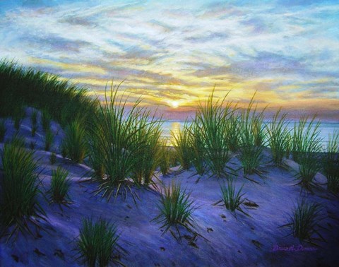 Framed Race Point Dune Sunset Print