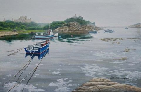 Framed Misty Waters Print