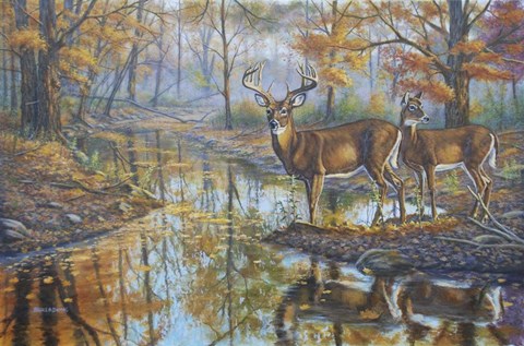 Framed Brookside Retreat - Whitetails Print