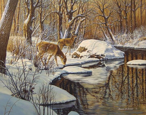 Framed Quinnipiac River White Tails Print