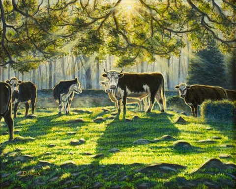 Framed Lucky Bull Print