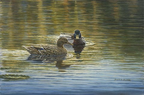 Framed Together Forever Print