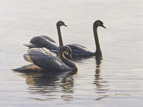 Framed Shore Patrol Print