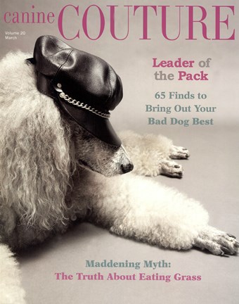 Framed Couture - Leader of the Pack Print