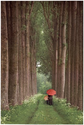 Framed Two Umbrellas Print