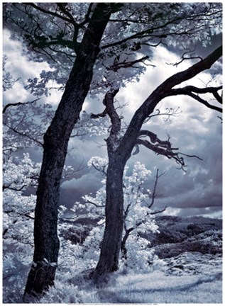 Framed Illimination II Print