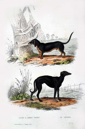 Framed Pair of Dogs III Print