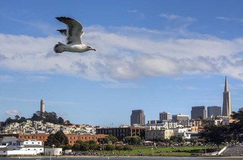 Framed Over SF Print