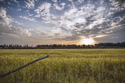 Framed End of Day Print